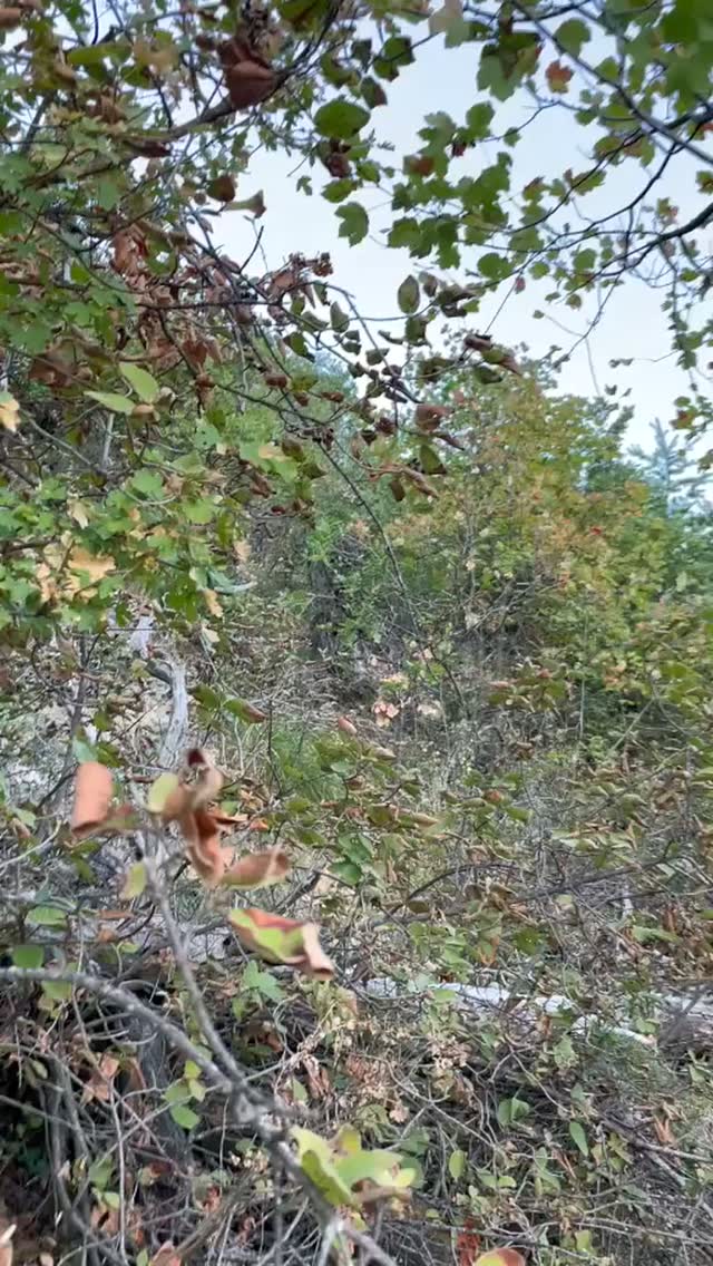 Video by Château le Beylon | Chambres d’hôtes dans les Hautes-Alpes ⛰️ on October 04, 2026.